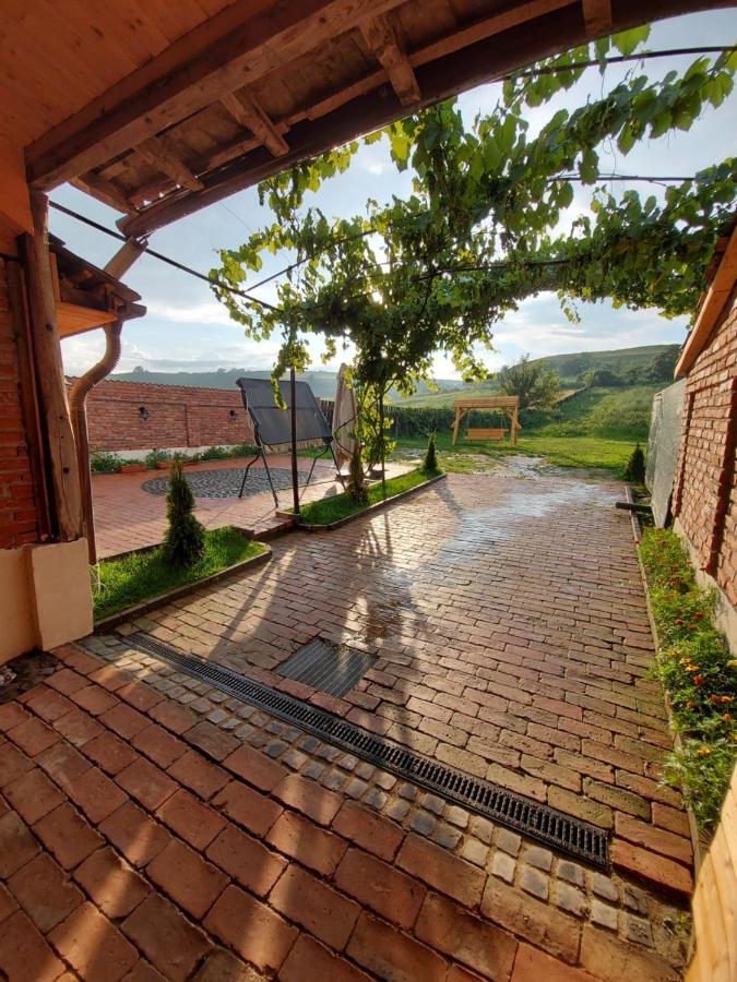 Вилла Casa Simion Сибиу Экстерьер фото